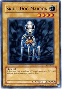 Skull Dog Marron