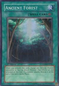 Ancient Forest