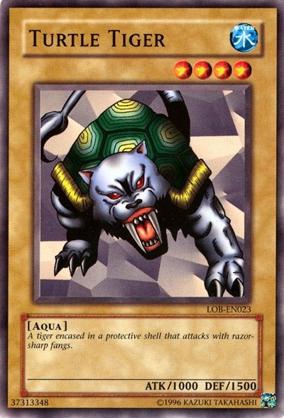 Turtle Tiger