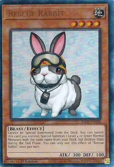 Rescue Rabbit (PUR)
