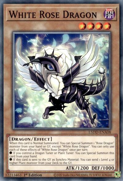 White Rose Dragon